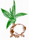 Fiji_Labour_Party_Logo